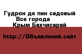 Гудрон де пин садовый - Все города  »    . Крым,Бахчисарай